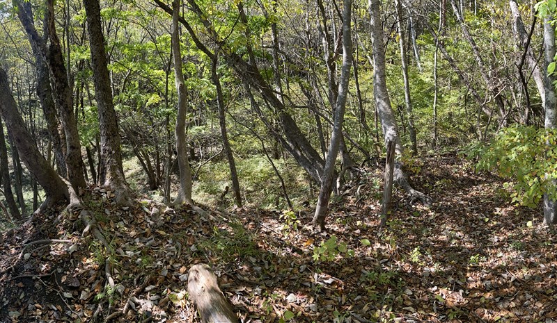 山林物件　長野県北佐久郡軽井沢町