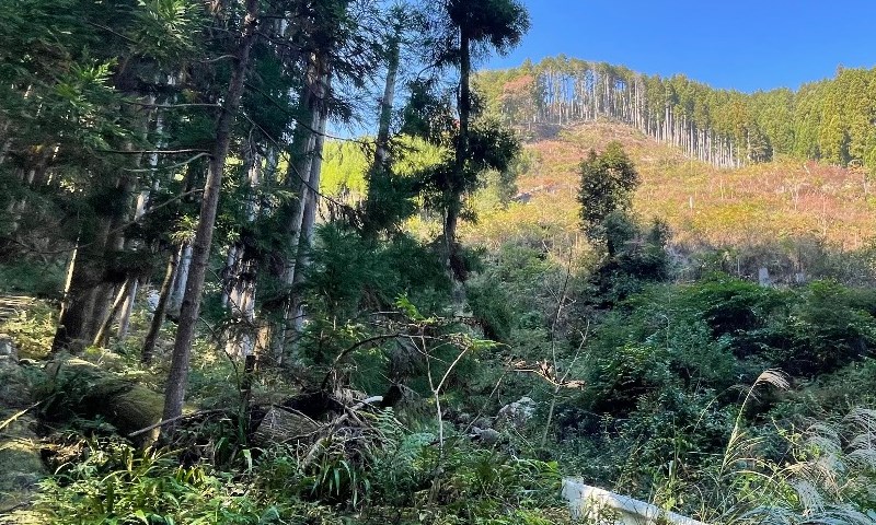 山林物件　京都市北区雲ケ畑中津川町