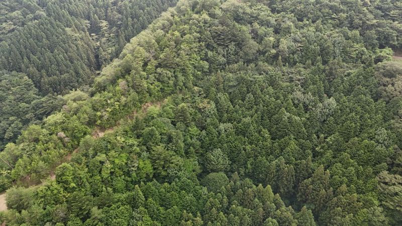 山林物件高知県高岡郡檮原町 尾根沿いの様子