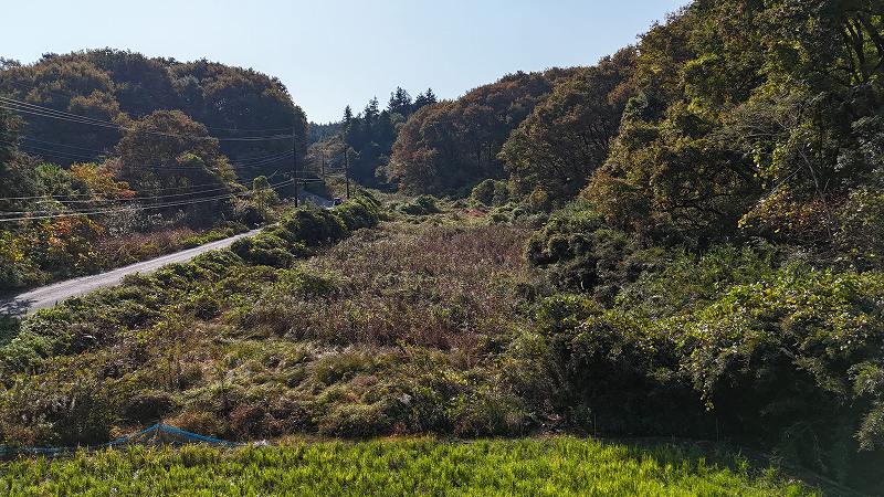 山林物件　栃木県那須烏山市田野倉