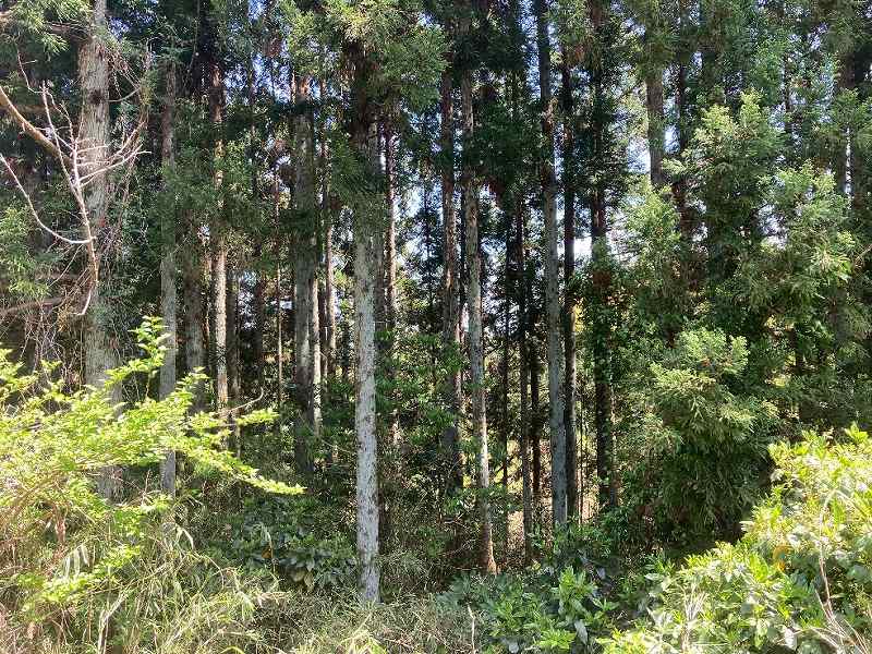 千葉県香取市田部